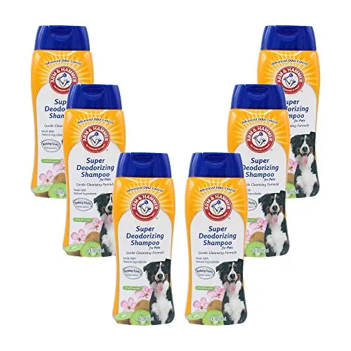 Arm & Hammer for Pets Super Deodorizing Shampoo for Dogs Best Odor Eliminating Dog Shampoo Great for All Dogs & Puppies, Fresh Kiwi Blossom Scent, 6-Pack 20 oz Bottles Arm & Hammer for Pets Super Deodorizing Shampoo for Dogs Best Odor Eliminating Dog Shampoo Great for All Dogs & Puppies, Fresh Kiwi Blossom Scent, 6-Pack 20 oz Bottles