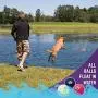 Chew King Fetch Balls Durable Natural Floating Dog Toy, Float and Glow Flyer, Squeaker Ball Dog Toy Chew King Fetch Balls Durable Natural Floating Dog Toy, Float and Glow Flyer, Squeaker Ball Dog Toy