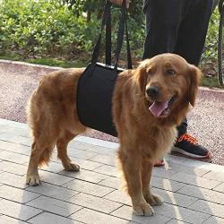 Tnfeeon Safety Portable Black Dog Support Harness, Lifting Assist Rehabilitation Harness with Handle for Canines Aid