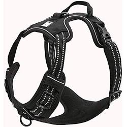 Truelove Dog Harness TLH5651 No-Pull Reflective Stitching Ensure Night Visibility, Outdoor Adventure Big Dog Harness Perfect Match Puppy Vest (Black,L)