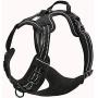 Truelove Dog Harness TLH5651 No-Pull Reflective Stitching Ensure Night Visibility, Outdoor Adventure Big Dog Harness Perfect Match Puppy Vest (Black,L)