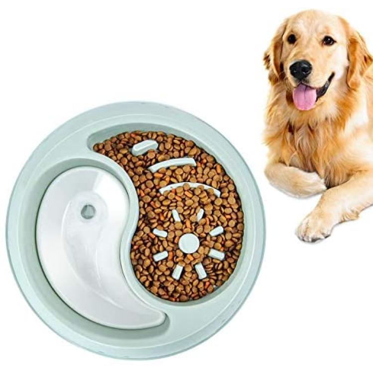 Dog Slow Feeder Bowl Small Dogs  Slow Feeder Dog Bowl Large Dog