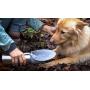 Portable Dog Water Bottle for Walking - Travel Bottles for Dogs with Folding Silicone Leaf Shaped Bowl 27oz
