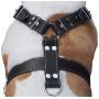 Black Genuine Leather Dog Harness, Large to XLarge. 33''-37'' Chest, 1.5'' Wide Straps, Rottweiler Bulldog