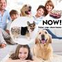Cos2be Female Dogs Diapers Washable Reusable Wraps,Soft & Comfortable Diapers for Small to Middle Dog-Pack of 3(XS)