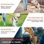 Eagloo Dog Harness No Pull, Pink Walking Pet Harness with 2 Sturdy Mental Rings and Handle Adjustable Reflective Breathable Oxford Soft Vest Easy Control Front Clip Cute Harness Outdoor For Large Dogs