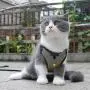 ocijf179 Pet Harness Adjustable Dog Cat Kitten Harness Puppy Vest Leash Chest Strap Set Pet Supplies - Black L