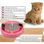 No logo MJCMMB Scratching Board for catcat Scratching Boar Pet cat Toy Trick Egg cat catching Disk Fake Mouse cat Scratch Board Combination Funny cat Kitten Toy