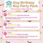 JT PET Dog Birthday Girl Party Dog Birthday Cake Pack with Bandana, Star Spangled Party Hat with Adjustable Elastic, Tassels and Feathery Trim, and Vegan Birthday Pie