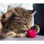 Pet Qwerks Cat Babble Ball with Catnip Infused, Interactive Cat Toy