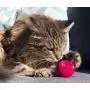 Pet Qwerks Cat Babble Ball with Catnip Infused, Interactive Cat Toy Pet Qwerks Cat Babble Ball with Catnip Infused, Interactive Cat Toy