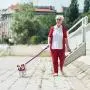 SlowTon No Pull Small Dog Harness and Leash, Heavy Duty Easy for Walk Vest Harness Soft Padded Reflective Adjustable Puppy Harness Anti-Twist Pet Lead Quick Fit for Small Dog Cat Animal SlowTon No Pull Small Dog Harness and Leash, Heavy Duty Easy for Walk Vest Harness Soft Padded Reflective Adjustable Puppy Harness Anti-Twist Pet Lead Quick Fit for Small Dog Cat Animal