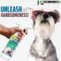 Vet Recommended Dog Detangler Spray & Conditioner (16oz/473ml) – Eliminate Loose Hair, Remove Matts and Rejuvenate Coat, Made from Fresh Natural Extracts of Papaya, Jojoba & Aloe Vera. Made in USA