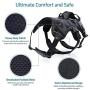 rabbitgoo Escape Proof Dog Harness, Soft Padded Full Body Pet Harness, Reflective Adjustable No Pull Vest with Lift Handle and Lesh Clip for Large Dogs Walking Hiking Training