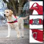 Kurgo Walk About Dog Harness, No Pull Training Harness for Dogs, Discourages Pulling, Front D-Ring, Includes Control Handle, Chili Red