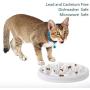 LORVOR Slow Feeder Bowl with Mat, Ceramic Interactive Slow Feeding Bowl Fins Design - Anti-gulping Slow Down Eating Prevent Choking Pet Bowl Feeder