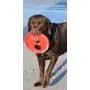 Rogz Flying Object Frisbee Dog Toy