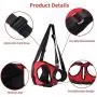 Dog Lift Harness Support Harness Support & Recovery Sling, Pet Rehabilitation Lifts Vest Adjustable Breathable Straps for Old, Disabled, Joint Injuries, Arthritis, Paralysis Dogs Walk, Rear Leg L