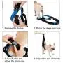 ROZKITCH Pet Dog Support Harness Rear Lifting Harness Veterinarian Approved for Old K9 Helps with Poor Stability, Joint Injuries Elderly and Arthritis ACL Rehabilitation Rehab ROZKITCH Pet Dog Support Harness Rear Lifting Harness Veterinarian Approved for Old K9 Helps with Poor Stability, Joint Injuries Elderly and Arthritis ACL Rehabilitation Rehab