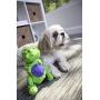 goDog Dinos T-Rex Tough Plush Dog Toy with Chew Guard Technology, Green, Small