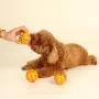 Adarl 10pcs Pet Cat Soft Sponge Rainbow Play Balls Interactive Cats Dogs Ball Toys Training Pet Supplies