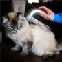 Tool Parts Pet hair shed PAL VAC does not spray Pet Hair Vacuum Grooming System powered pet groomer shed vac TV