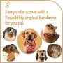 Pawsibility - 2021 Reinvented Pet Nail Clippers for Your Pal - Ultra Bright LED Light for Bloodline | Razor Sharp and Durable Blade | Vets Recommended Trimming Tool for Dogs and Cats