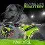 MelonTaiL Light Up Dog Harness with Bungee Leash-Rechargeable LED Light Dog Vest for Night Walking-Reflective Illuminated Harness for Extra Visibility-Glow in The Dark Lighted Vest for Dogs MelonTaiL Light Up Dog Harness with Bungee Leash-Rechargeable LED Light Dog Vest for Night Walking-Reflective Illuminated Harness for Extra Visibility-Glow in The Dark Lighted Vest for Dogs