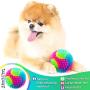 Sumind 2 Pieces Light Up Spiky Dog Balls Glowing Pet Spiny Ball LED Flashing Elastic Pet Ball Molar Ball Interactive Pet Toys for Cats Dogs Chewing Chasing, 2.2 Inch