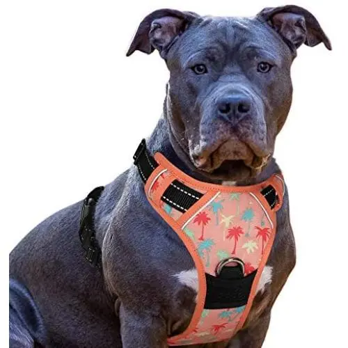 Eagloo Dog Harness No Pull, Pink Walking Pet Harness with 2 Sturdy Mental Rings and Handle Adjustable Reflective Breathable Oxford Soft Vest Easy Control Front Clip Cute Harness Outdoor For Large Dogs Eagloo Dog Harness No Pull, Pink Walking Pet Harness with 2 Sturdy Mental Rings and Handle Adjustable Reflective Breathable Oxford Soft Vest Easy Control Front Clip Cute Harness Outdoor For Large Dogs