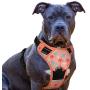 Eagloo Dog Harness No Pull, Pink Walking Pet Harness with 2 Sturdy Mental Rings and Handle Adjustable Reflective Breathable Oxford Soft Vest Easy Control Front Clip Cute Harness Outdoor For Large Dogs