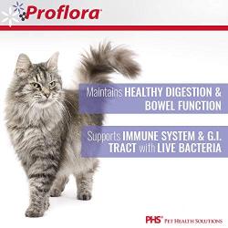 Proflora Probiotic Supplement for Cats Healthy Digestive Tract Chicken Liver Flavor 30 Serving