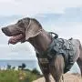 OneTigris Tactical Dog Harness Vest,Adjustable Dog Harness for Large Dogs,No-Pull Service Dog Vest with Hook & Loop Panels(Grey,X-Large) OneTigris Tactical Dog Harness Vest,Adjustable Dog Harness for Large Dogs,No-Pull Service Dog Vest with Hook & Loop Panels(Grey,X-Large)