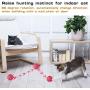 YOFUN Smart Interactive Cat Toy - Newest Version 360 Degree Self Rotating Ball, USB Rechargeable Pet Toy, Build-in Spinning Led Light, Stimulate Hunting Instinct for Your Kitty