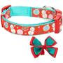 Blueberry Pet 10+ Designs Christmas Festival Dog Collars, Slide Accessories