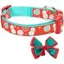 Blueberry Pet 10+ Designs Christmas Festival Dog Collars, Slide Accessories Blueberry Pet 10+ Designs Christmas Festival Dog Collars, Slide Accessories