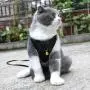 ocijf179 Pet Harness Adjustable Dog Cat Kitten Harness Puppy Vest Leash Chest Strap Set Pet Supplies - Black L