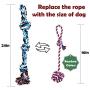 Spring Pole Dog Rope Toys with a Big Spring Pole Kit, 2 Different Twisted Cotton Rope Chew Toys and a 16ft Rope - Safe for Dogs to Pulling, Chasing, Chewing, Teasing, Training
