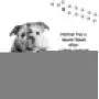 PETUCHI Dog Dry Wash with Organic Oatmeal and Aloe Vera; Baby Powder Fresh; No-Rinse Spray