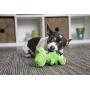 goDog Just For Me TRex With Chew Guard, Green