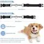 PuppyDoggy Hands Free Dog Leash Reflective 6 ft for Large and Medium Dogs with Adjustable Waist Belt & Chain Martingale Dog Collar & Poop Bag Dispenser for Running Walking Training (Medium, Red)