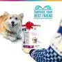 Palomo Market Dog Puzzle Toy - Blue & Purple 2 Sticky Pads, Instructions and Packaging. Attractive Dog Enrichment Toy. Let The Interactive Dog Toy take Care of Your Best Friend Palomo Market Dog Puzzle Toy - Blue & Purple 2 Sticky Pads, Instructions and Packaging. Attractive Dog Enrichment Toy. Let The Interactive Dog Toy take Care of Your Best Friend