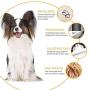 Miserwe Rechargeable Cordless Pet Clippers Low Noise Electric Horse Grooming Clippers with Guard Combs Brush for Horse
