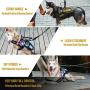 OneTigris SGT Patch K9 Mesh Soft Padded Harness Patch Paneled Walking Vest with Vertical Handle