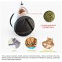 LATIBELL Interactive Smart Cat Toy, Pet Balance Swing Tumbler Car Design Toy with Catnip Ball, Self Rotating Moving Exercise Chaser Toy for Indoor Cat Kitten