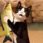 Cheerpet Catnip Toys 2 Pcs Cat Wagging Fish Electric Doll Fish Realistic Plush Toy Cat Pet Interactive Chew Toy Cat Kicker Fish Toy