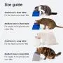 Nest Bowl Ceramic Cat Food Bowl I Raised Cat Food Bowl I Elevated Cat Bowl I Tilted Cat Bowl I Cat Bowl No Spill I Stress Free Bowl Nest Bowl Ceramic Cat Food Bowl I Raised Cat Food Bowl I Elevated Cat Bowl I Tilted Cat Bowl I Cat Bowl No Spill I Stress Free Bowl