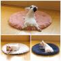 Vivi Bear Cat Bed Dog Bed Round pet nest Extra Soft Comfortable Cute,Cat Cushion Bed Washable,Oval Donut Nesting Cave Bed Suitable for Cats and Small Medium Dogs