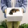 DFVV Pet Water Dispenser Ultra-Quiet Automatic Circulation Fountain, Cat Ceramic Water Dispenser, Outdoor Small Animal Drinking Water Artifact Pet Feeder DFVV Pet Water Dispenser Ultra-Quiet Automatic Circulation Fountain, Cat Ceramic Water Dispenser, Outdoor Small Animal Drinking Water Artifact Pet Feeder