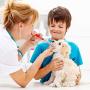 Nuanchu 6 Pieces Pet Medicine Feeding Syringe Pet Tablet Syringe with 2 Tips 2-in-1 Pet Pill Liquid Syringe Dispenser Tools for Birds Cats Dogs